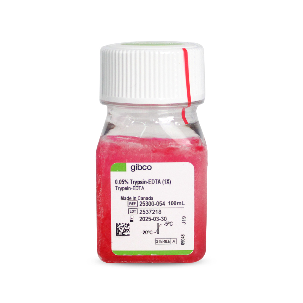 胰酶細胞消化液（0.05%胰酶，含EDTA，含酚紅）